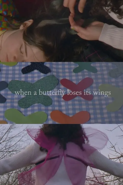 When A Butterfly Loses Its Wings (фильм)