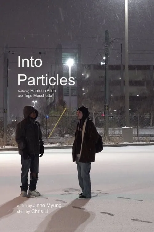 Into Particles (фильм)