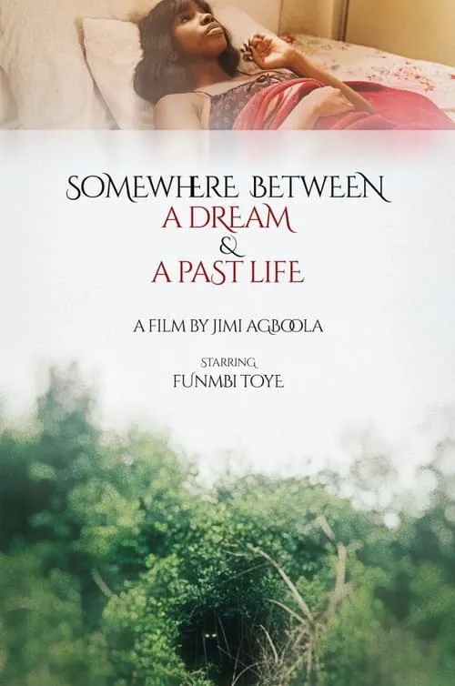 Somewhere Between a Dream and a Past Life (фильм)