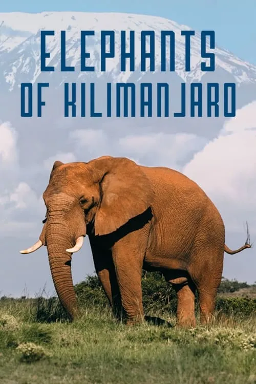 Elephants of Kilimanjaro (movie)