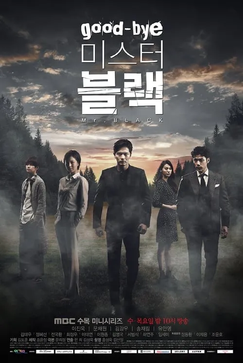 Goodbye Mr. Black (series)