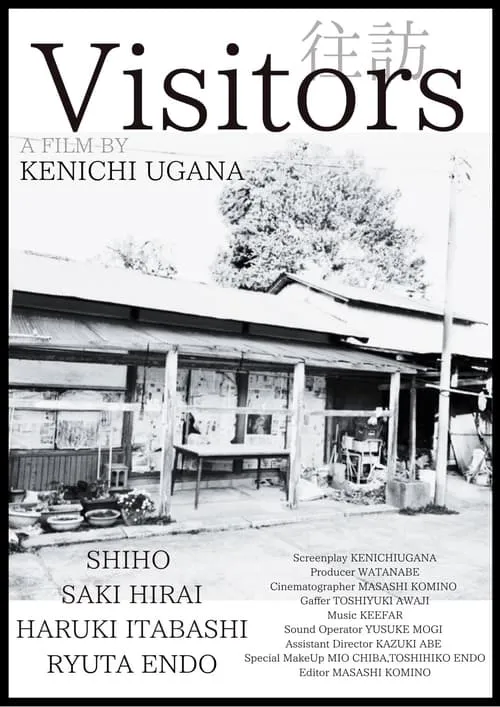 Visitors (movie)