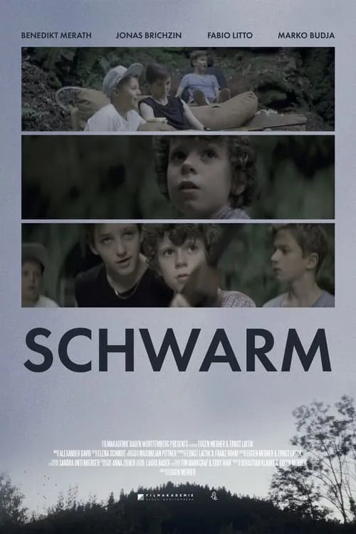 Swarm (movie)