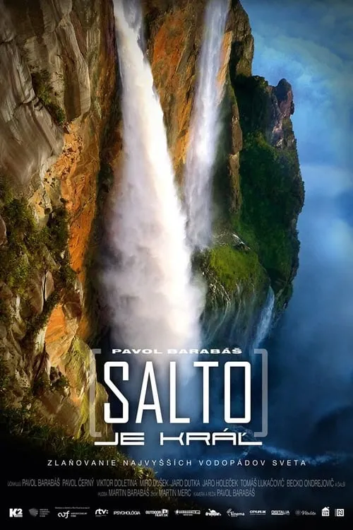 Salto je kráľ (movie)