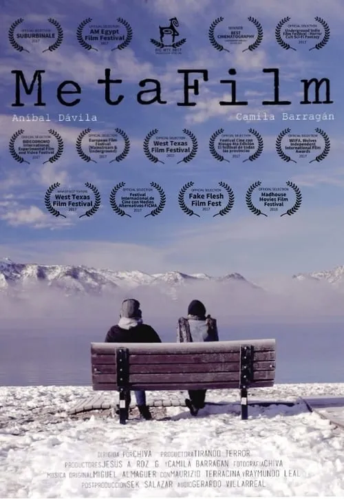 MetaFilm (movie)