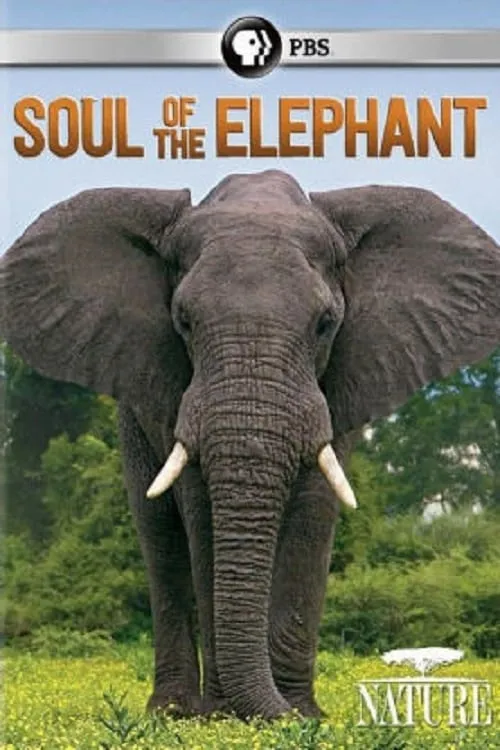 Soul of the Elephant (movie)