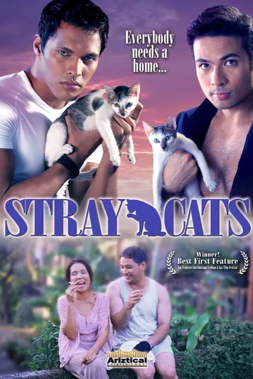 Stray Cats (movie)