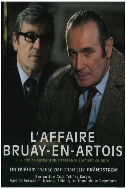 L'Affaire Bruay-en-Artois (movie)
