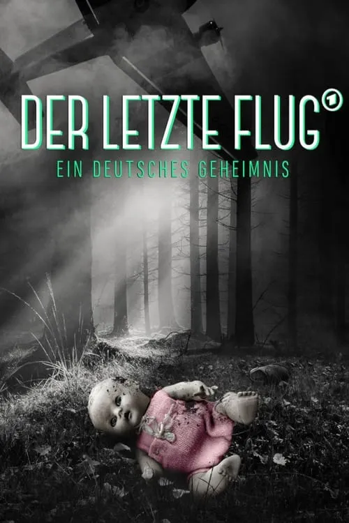 Der letzte Flug - Ein deutsches Geheimnis (movie)