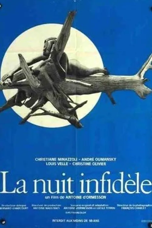 La nuit infidèle (фильм)