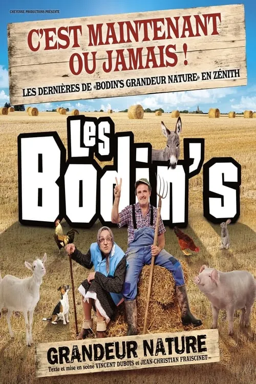 Les Bodin's - Grandeur Nature - La Dernière Des Zénith (movie)