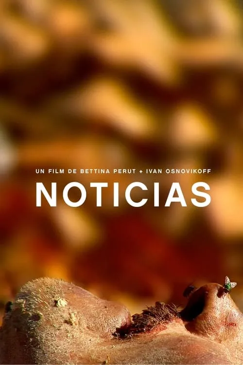 Noticias (фильм)