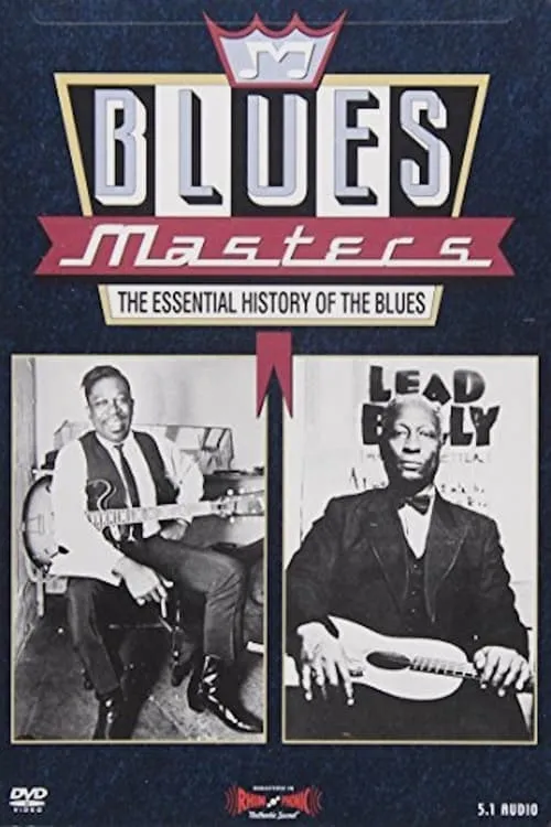 Blues Masters - The Essential History of the Blues (фильм)