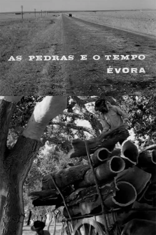 As Pedras e o Tempo (movie)