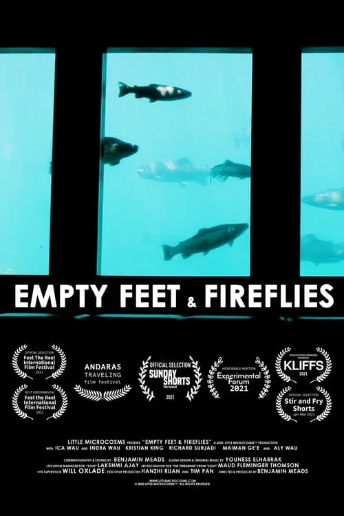 Empty Feet & Fireflies (movie)