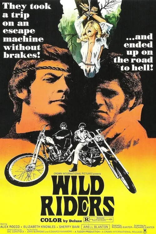 Wild Riders (movie)