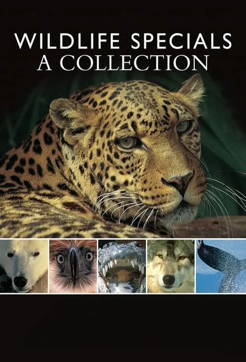 Wildlife Specials (series)