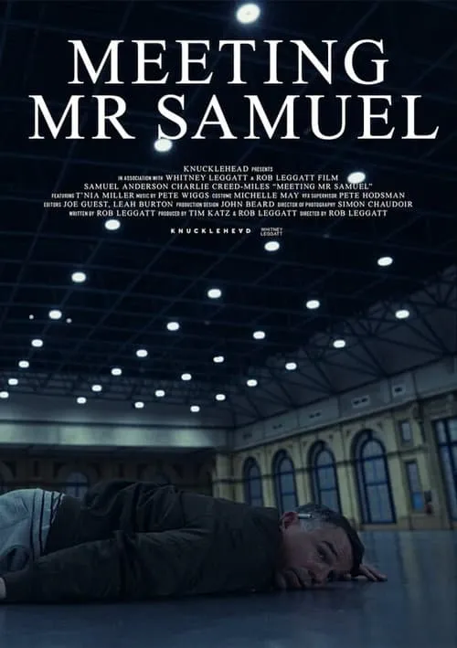 Meeting Mr Samuel (фильм)