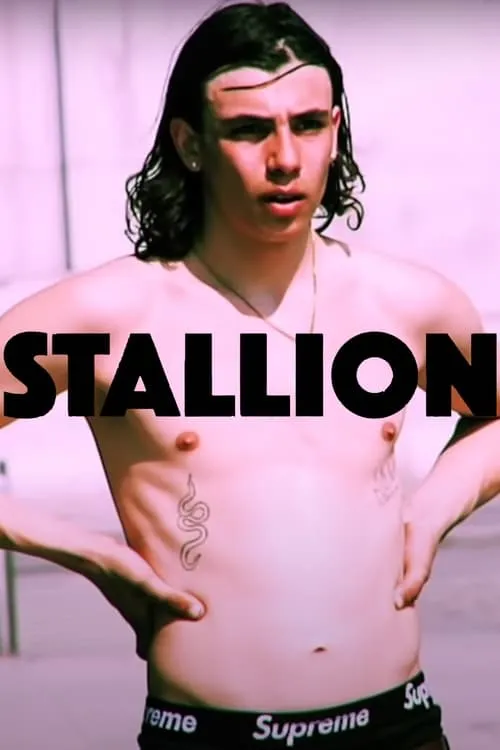 STALLION (фильм)