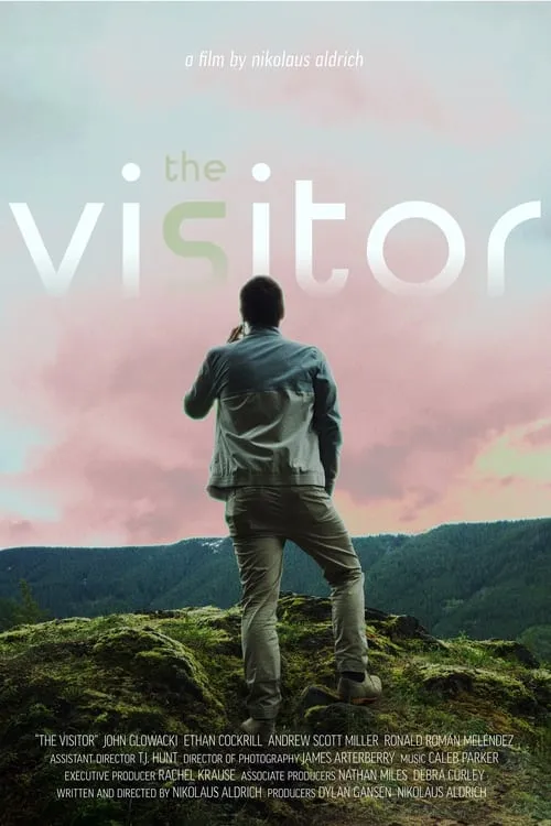 The Visitor (movie)