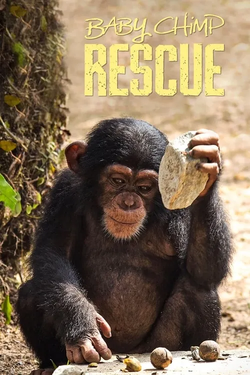 Baby Chimp Rescue