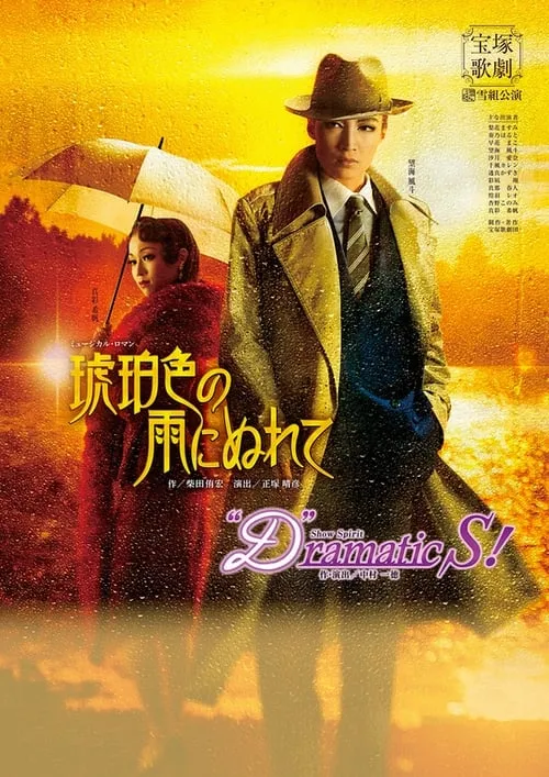 In the Amber-Hued Rain (movie)