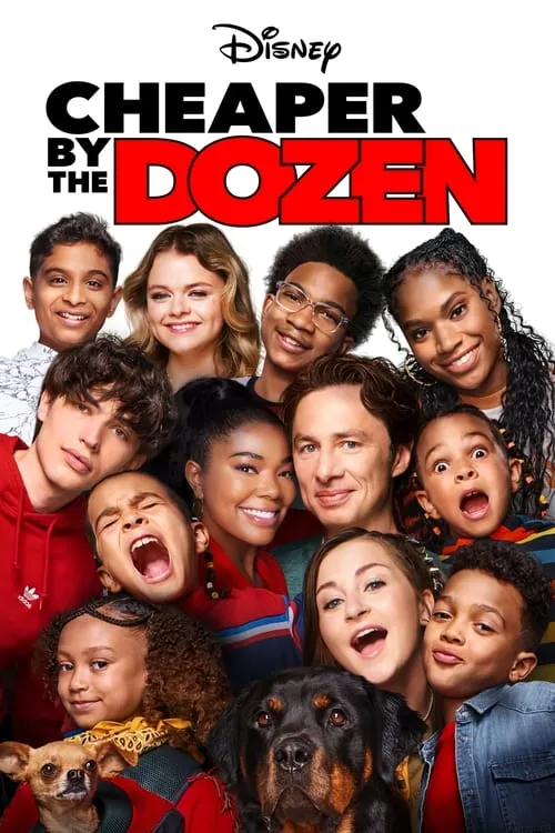 Cheaper by the Dozen (movie)