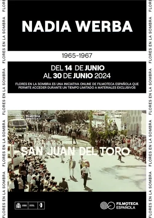 San Juan del Toro (movie)