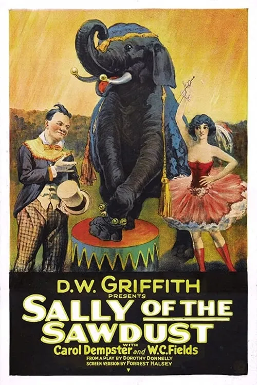 Sally of the Sawdust (movie)