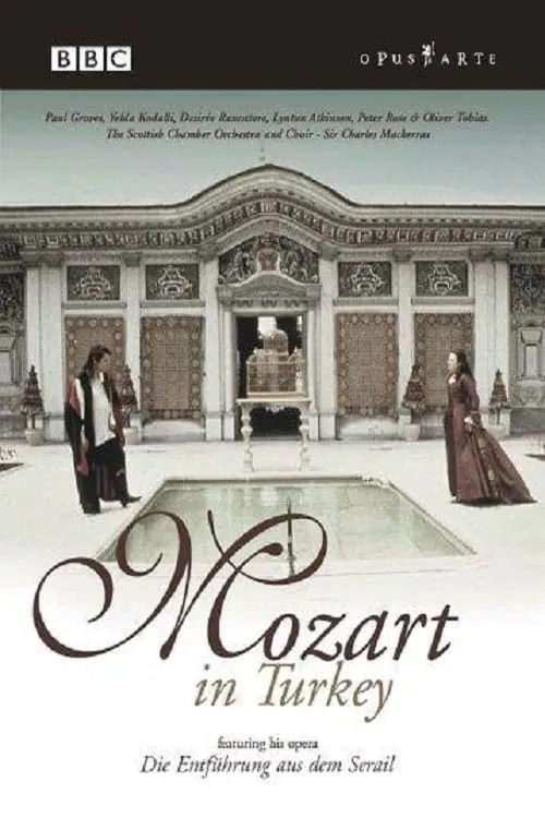 Mozart in Turkey (фильм)