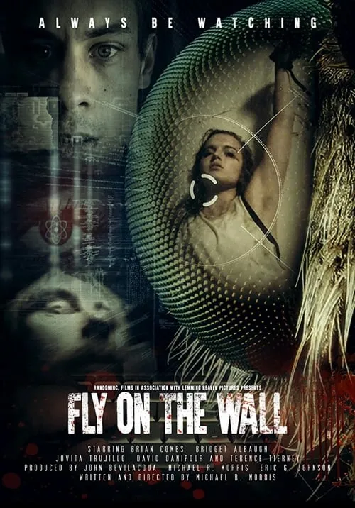 Fly on the Wall (movie)