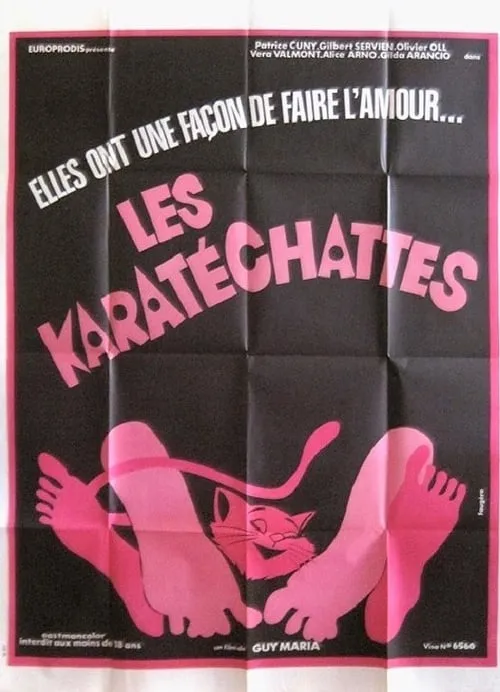 Les pornochattes (movie)