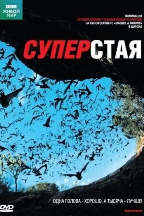 Суперстая (сериал)