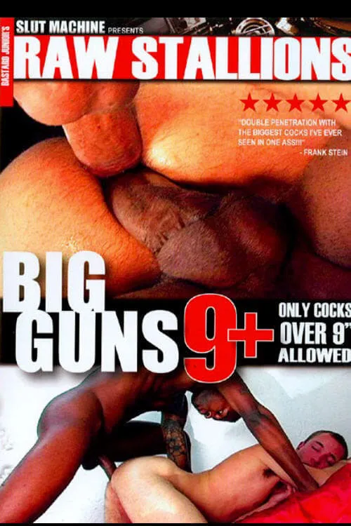 Big Guns 9+ (movie)