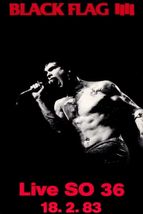 BLACK FLAG Live in Berlin (movie)