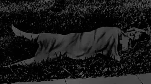 The Chilling Mystery of the Black Dahlia