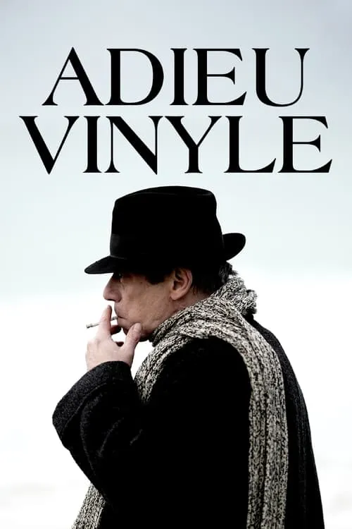 Goodbye Vinyle (movie)