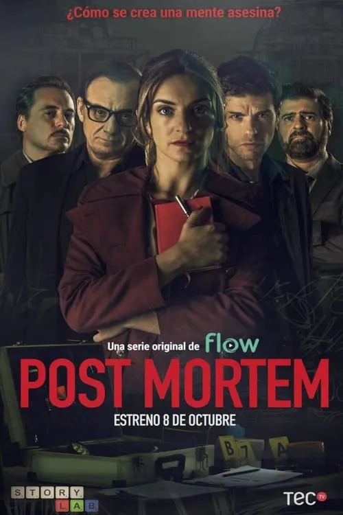 Post Mortem (сериал)