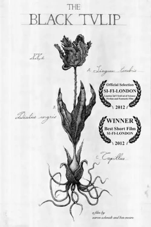 The Black Tulip (movie)