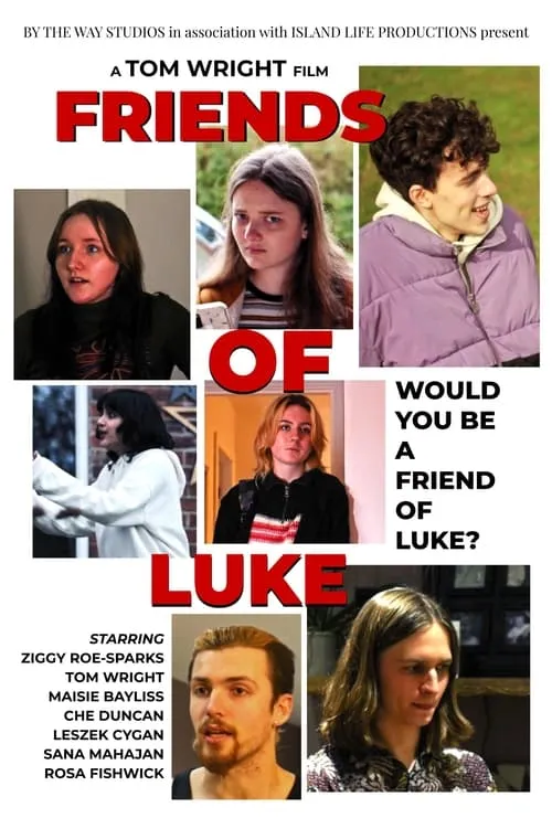 Friends of Luke (фильм)