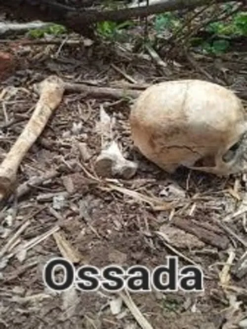 Ossada (фильм)