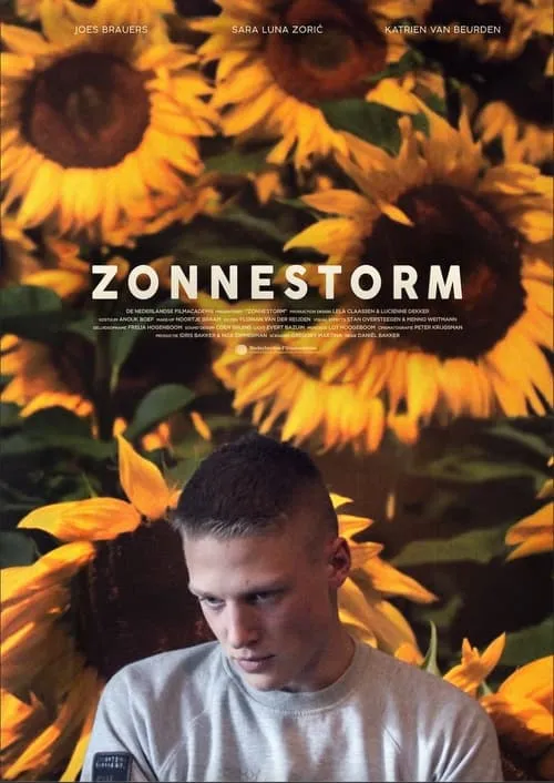 Zonnestorm (movie)