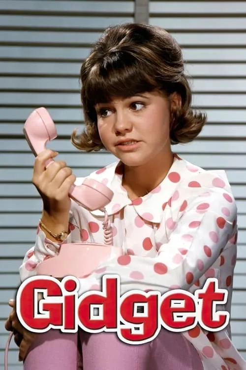 Gidget (series)