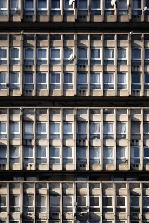 Robin Hood Gardens (movie)