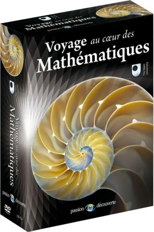 Voyage au Coeur des mathématiques (фильм)