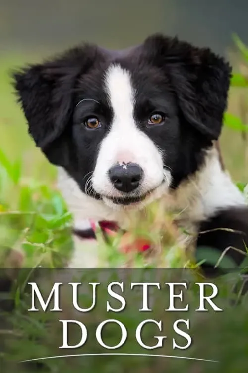 Muster Dogs (series)