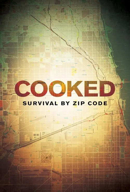 Cooked: Survival by Zip Code (movie)