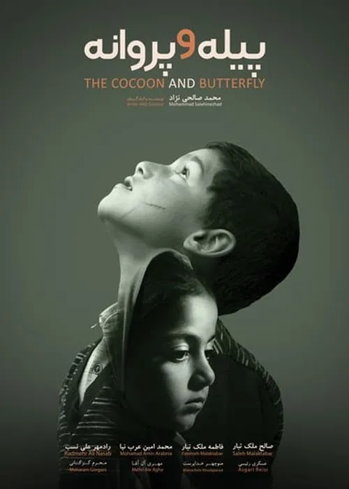 The Cocoon & Butterfly (movie)