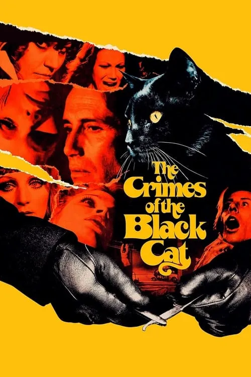 The Crimes of the Black Cat (movie)