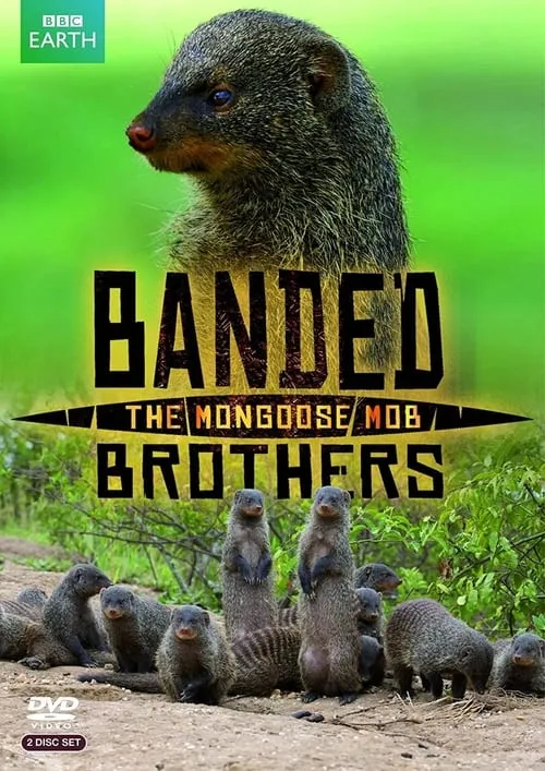 Banded Brothers: The Mongoose Mob (series)